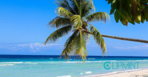 Jamaica Election 2025: Key Issues and What’s at Stake image