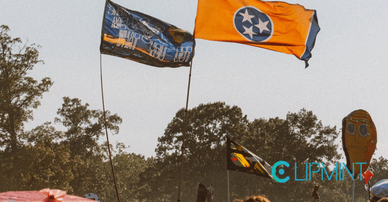 Marsha Blackburn's Bold Vision for Tennessee in 2025 image